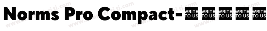Norms Pro Compact字体转换